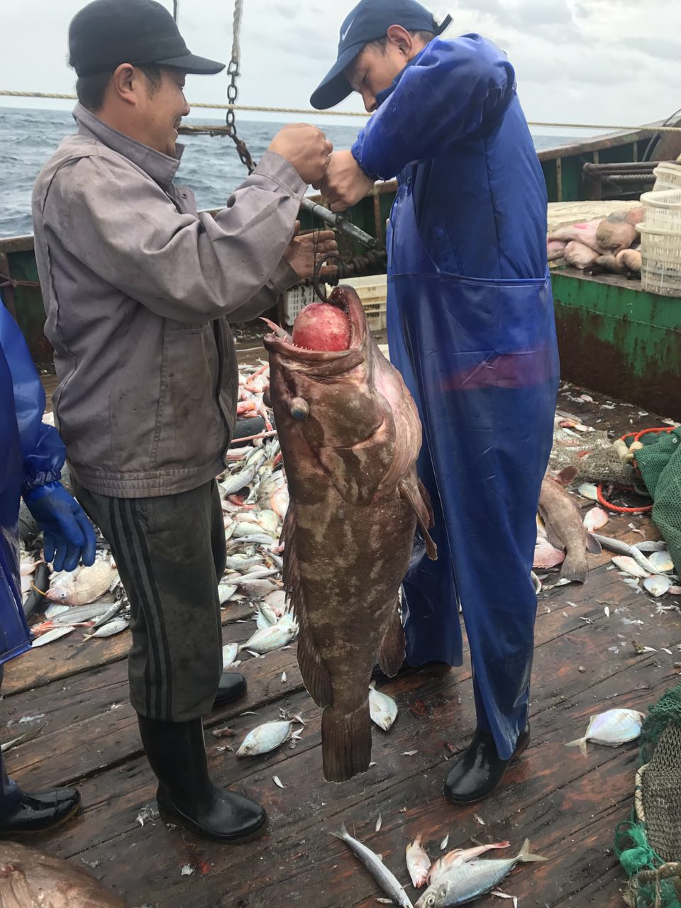 海上通海鮮捕獲現(xiàn)場.jpg
